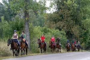 Hucul lovakkal indul túra Aggtelekrõl Lengyelországba
